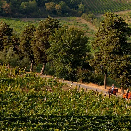 Fattoria Lavacchio *