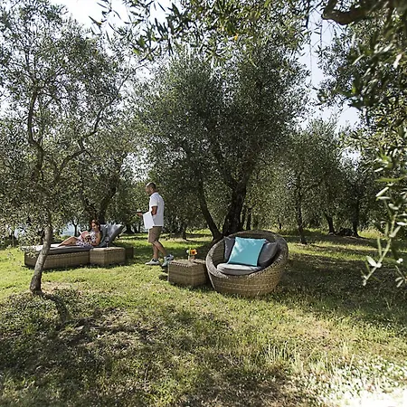 Farm stay Fattoria Lavacchio Pontassieve