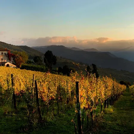 Farm stay Fattoria Lavacchio *